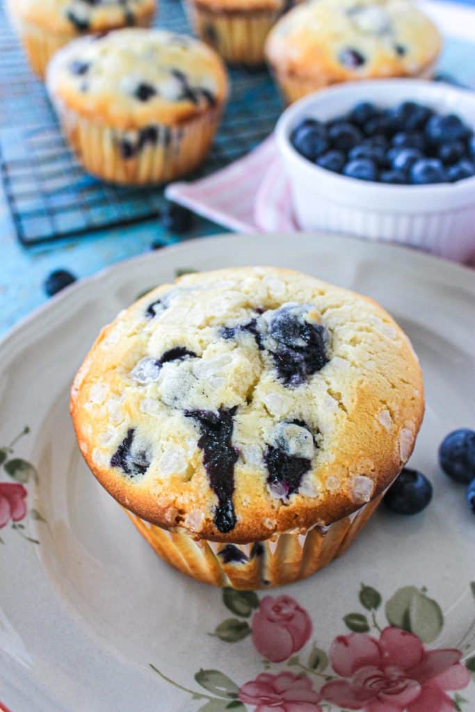 jumbo blueberry muffin on a plate