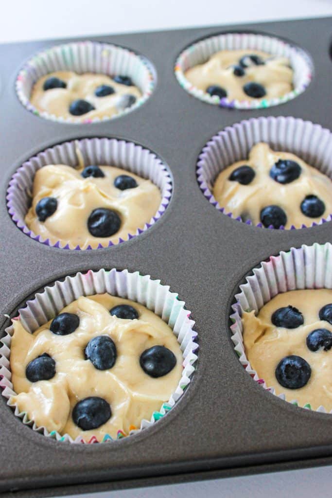 muffin tins after batter is added and a few blueberries are sprinkled on top
