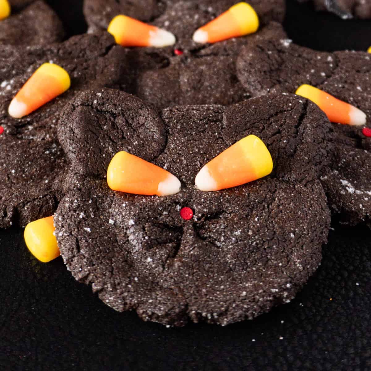 Black Cat Cookies featured