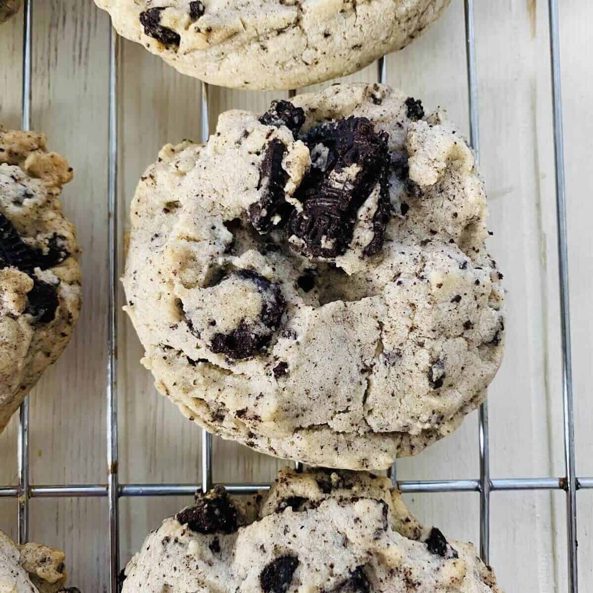 oreo sugar cookies feature