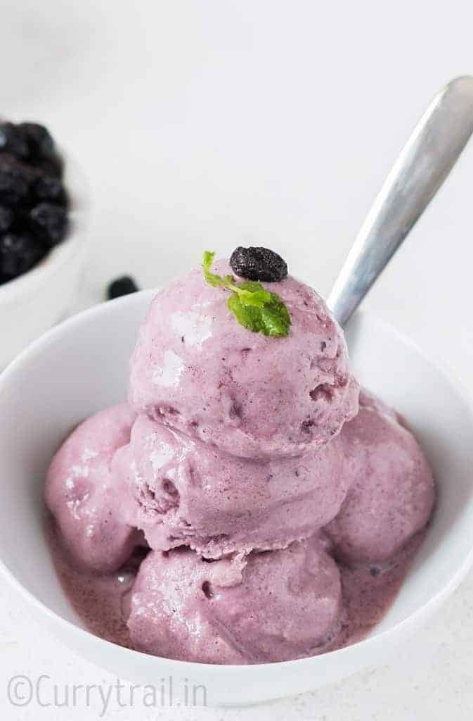 Blueberry Fozen Yogurt 5