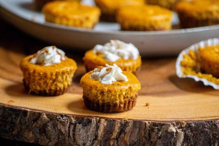 Mini Pumpkin Cheesecakes 20 scaled e1692673321684