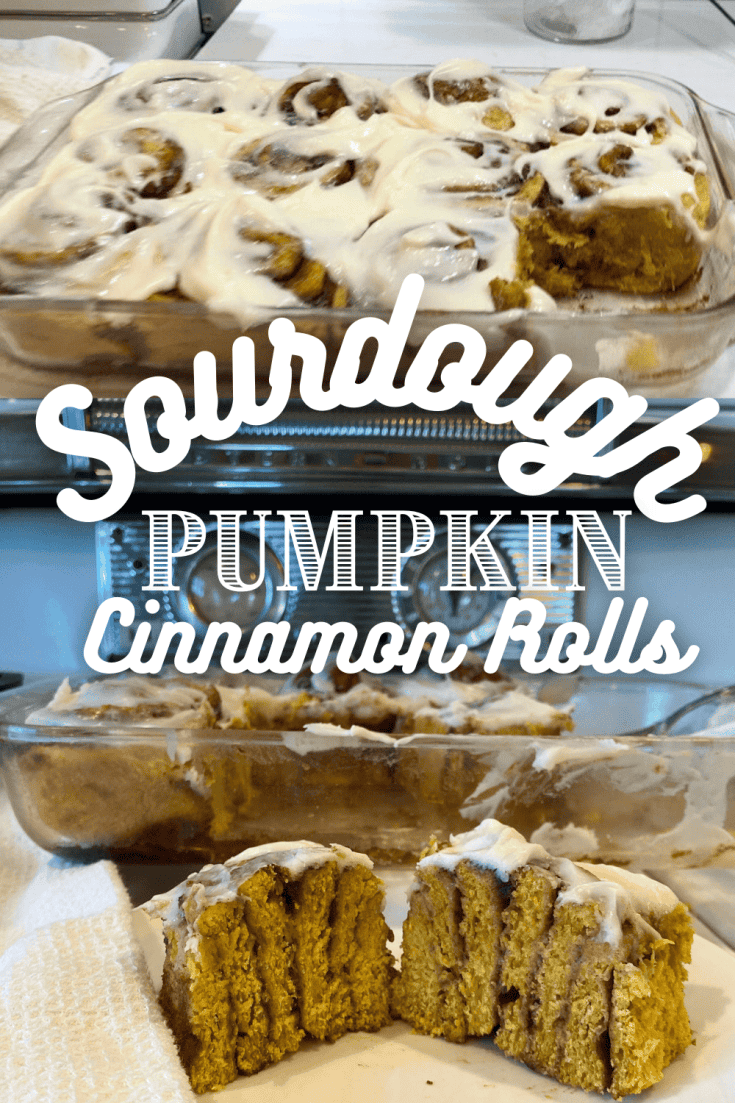 Sourdough pumpkin cinnamon rolls 1