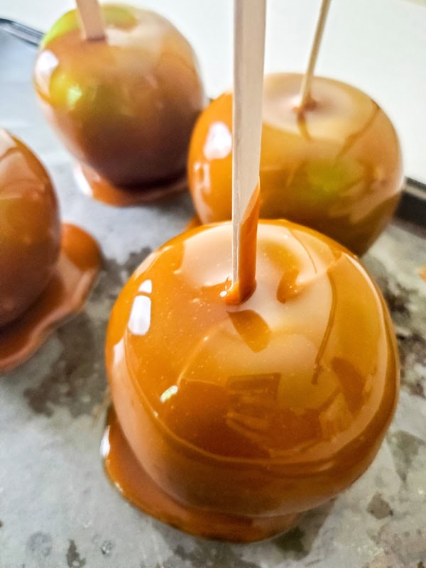 closeup of caramel coated apples on a baking sheet