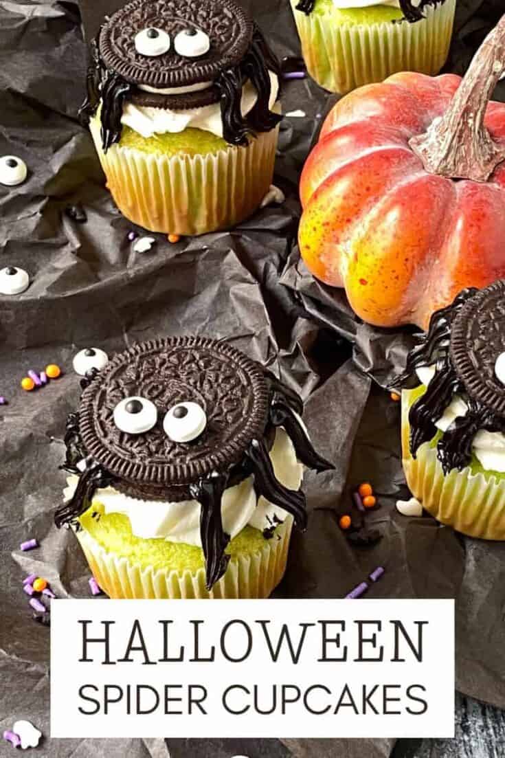 halloweenspidercupcakes.jpgformat1500w