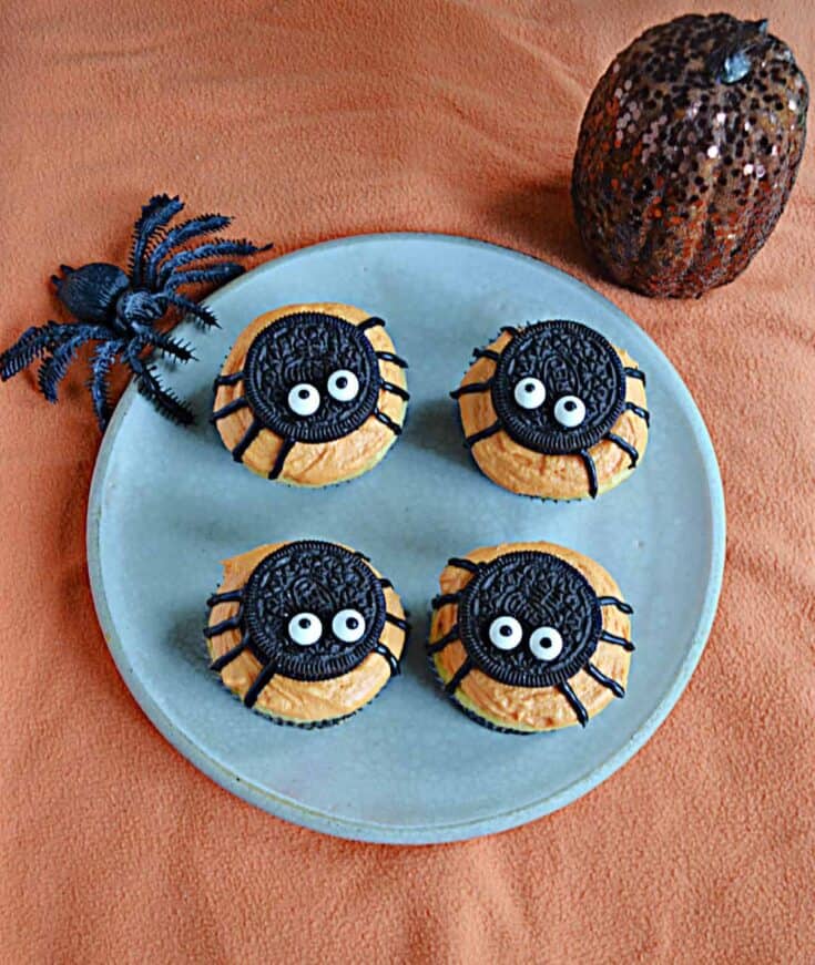 spider cupcakes 5