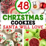 48 christmas cookies santa will love
