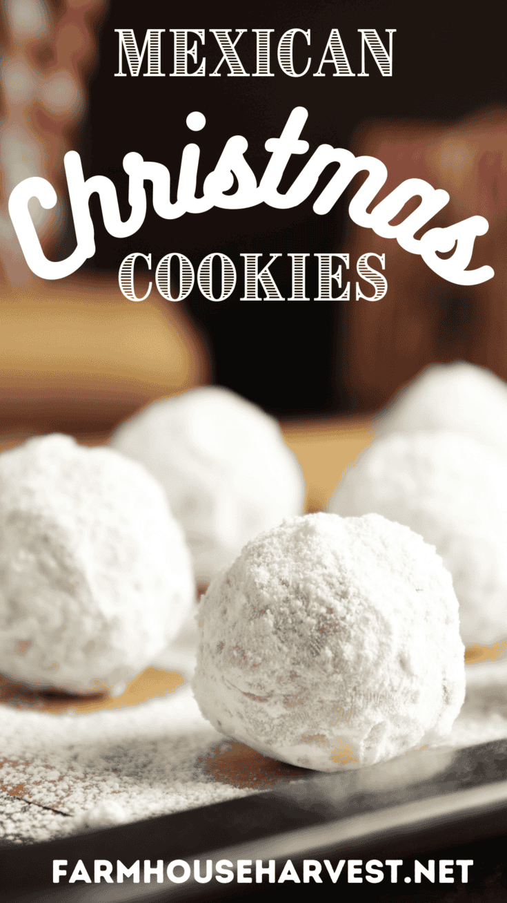 Mexican Christmas cookies recipe 4