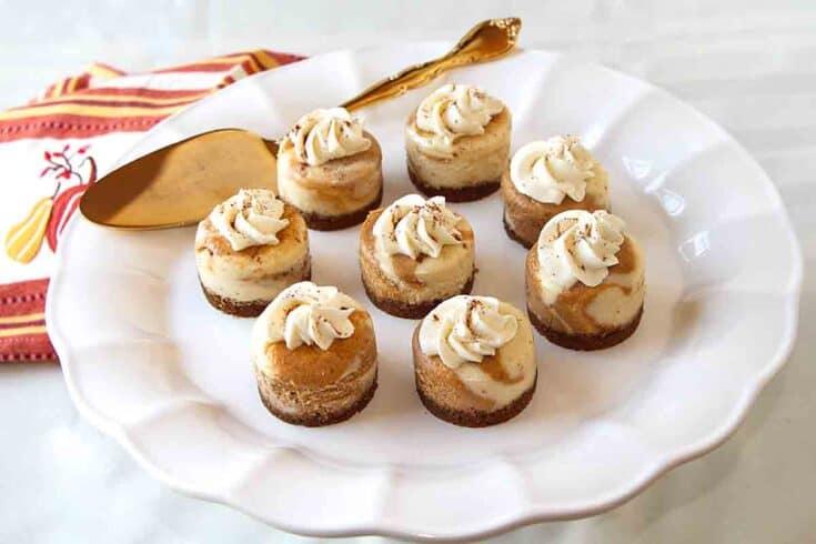 Mini Pumpkin Cheesecake 16