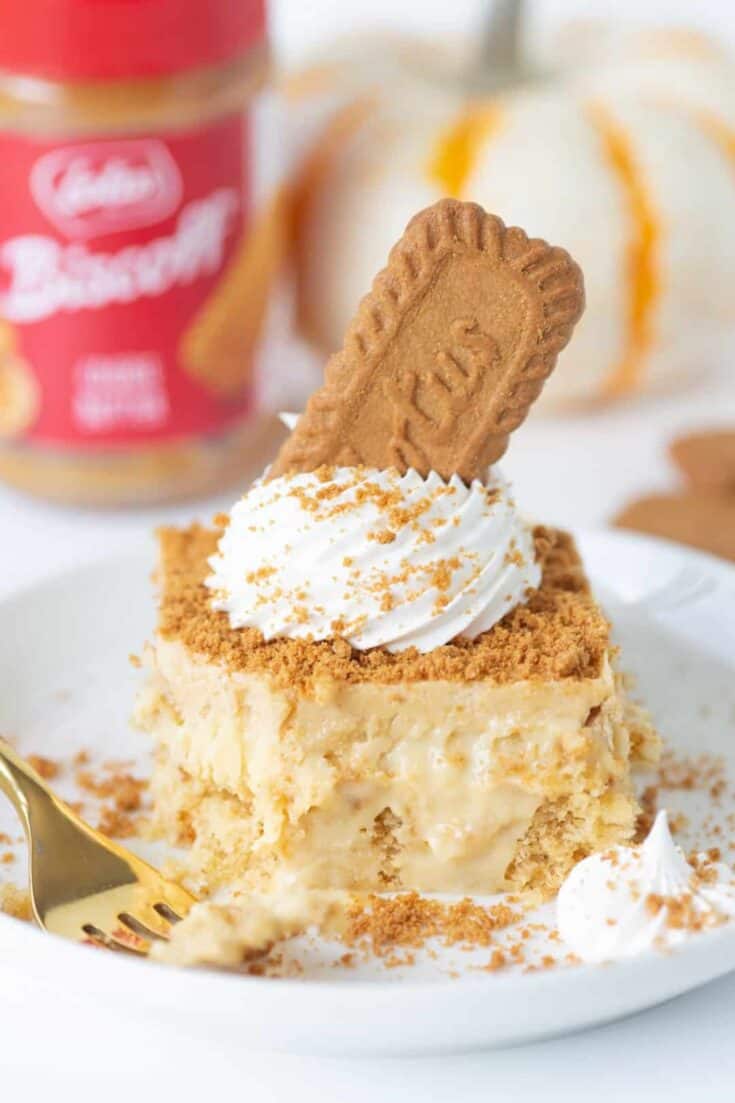 biscoff poke cake 6