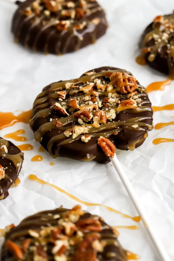 chocolate covered apple slices basicswithbails