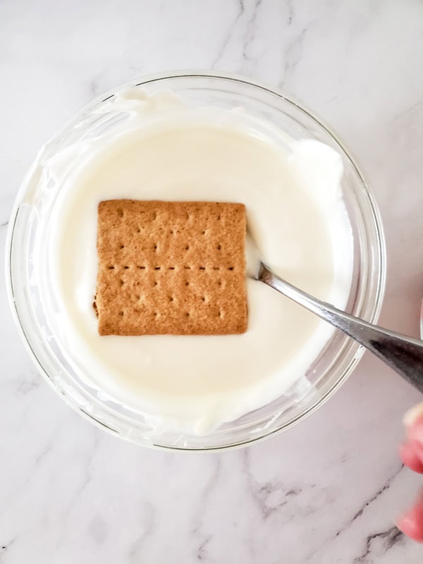 graham cracker square on top of melted chocolate