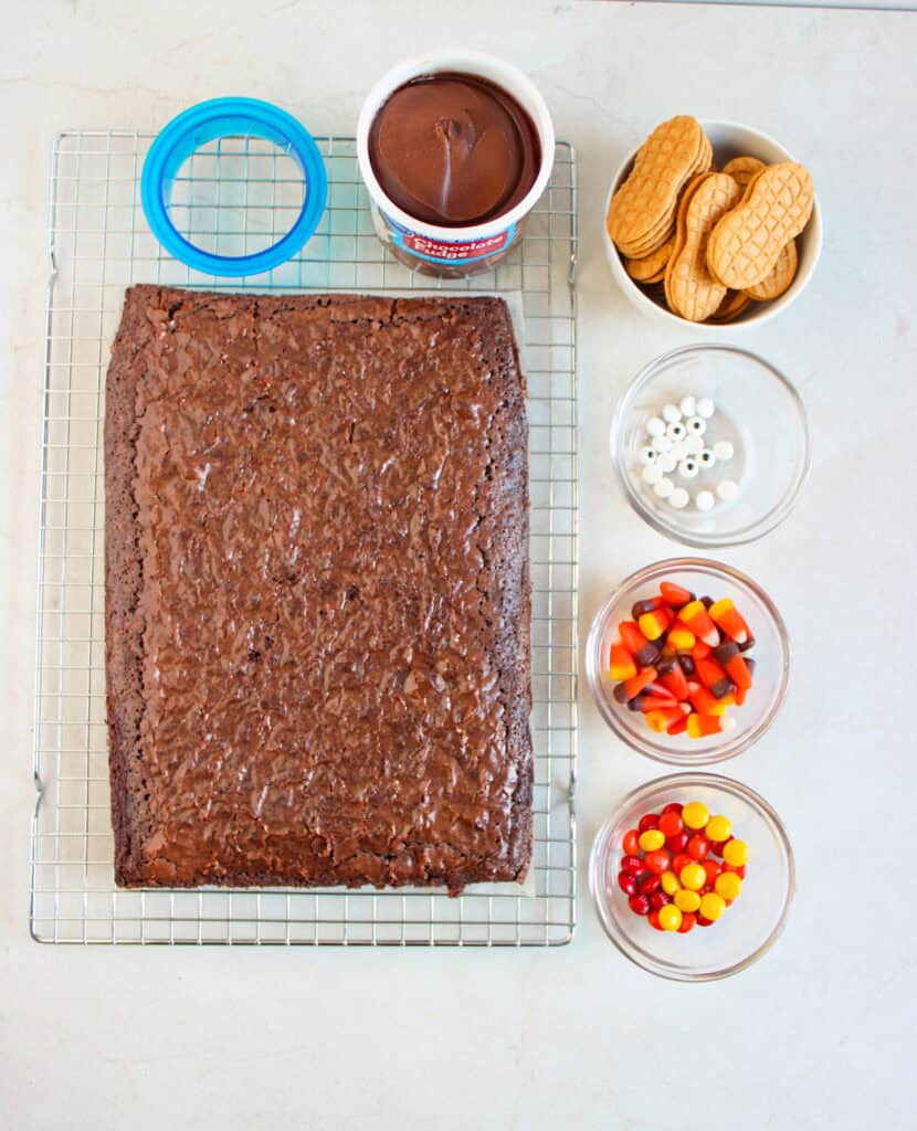 overhead shot of ingredients for turkey brownies