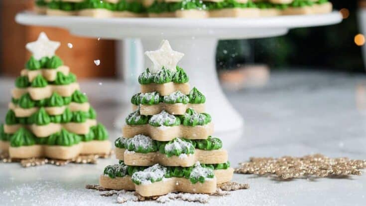 3D stacked christmas tree sugar cookies 01899