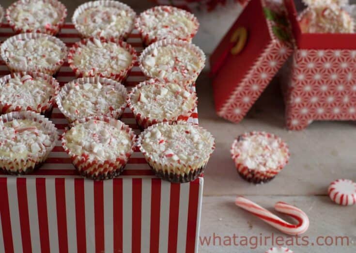 Peppermint bark