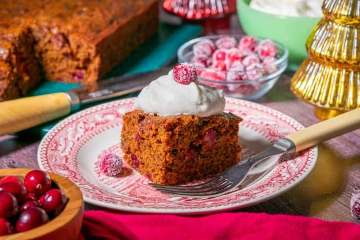 Sourdough gingerbread cake with cranberries