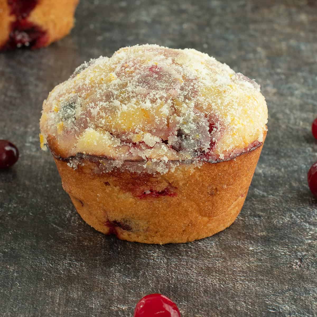 cranberry muffins featured