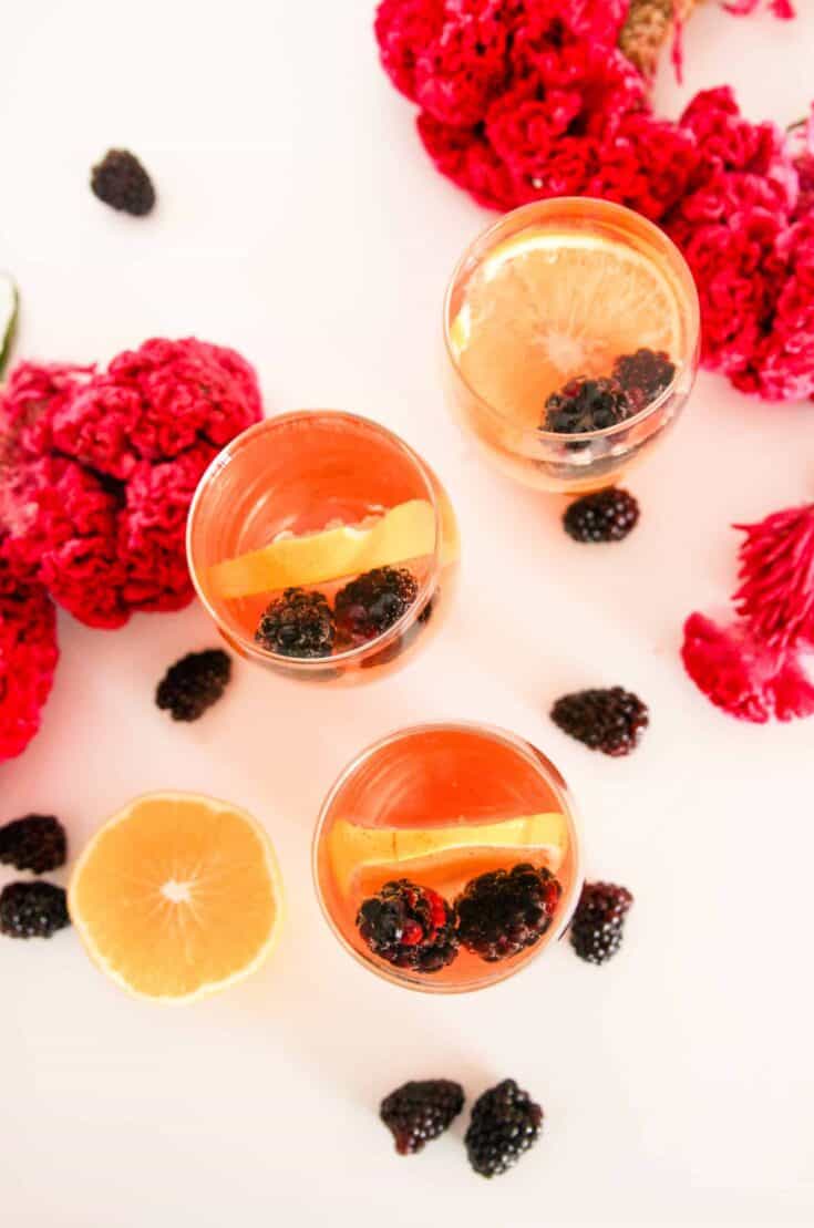 Easy Rose Sangria with Vodka1 scaled 735x1109 1