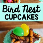 bird nest cupcakes