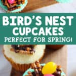 bird's nest cupcakes perfect for spring