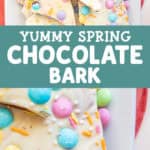 yummy spring chocolate bark
