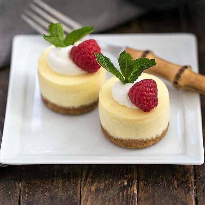 Mini Margarita Cheesecakes 6 Copy