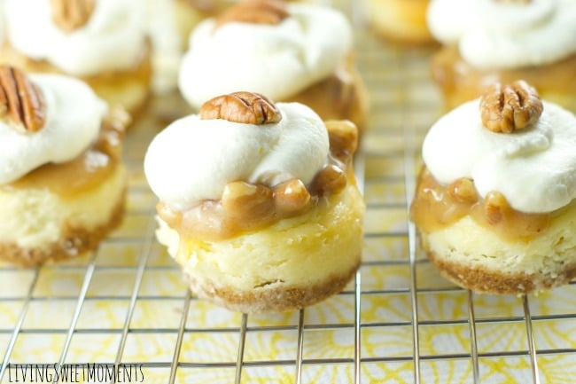 pecan praline mini cheesecakes 1