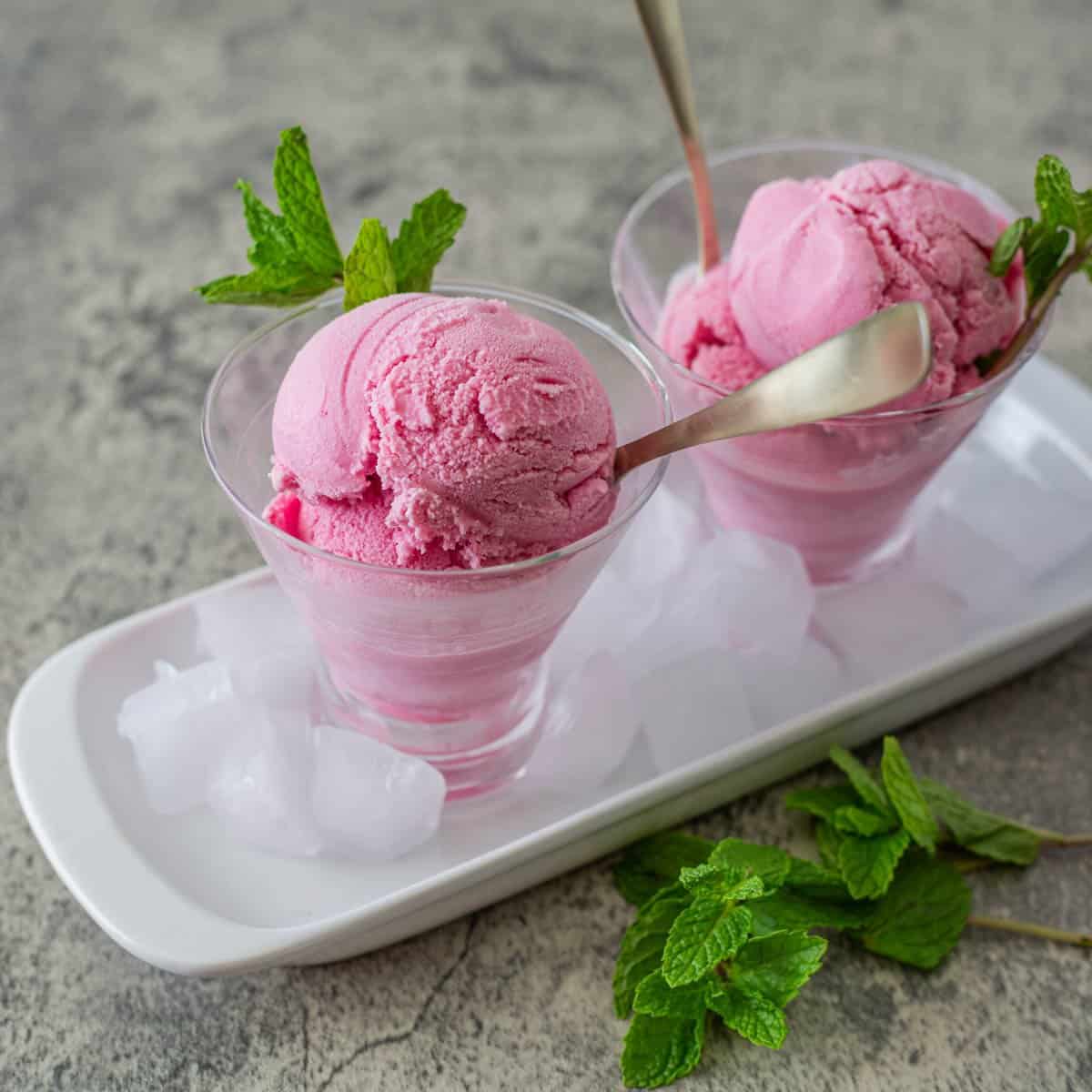 Prickly Pear Ice Cream Feature 1