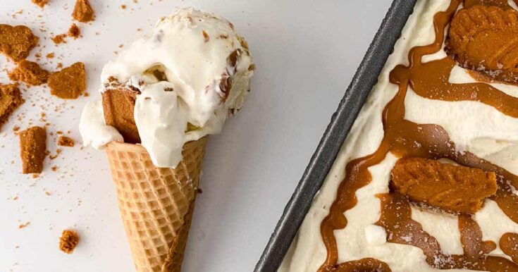 biscoff cheesecake ice cream recipe fb