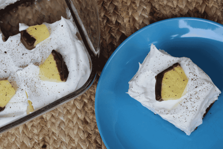 chocolate covered pineapple dessert 2