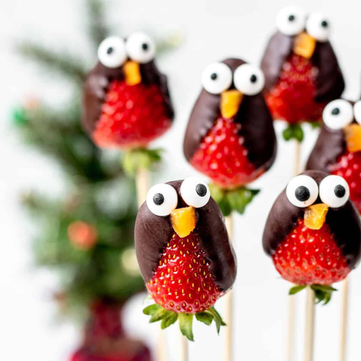 chocolate covered strawberry penguins 11 1