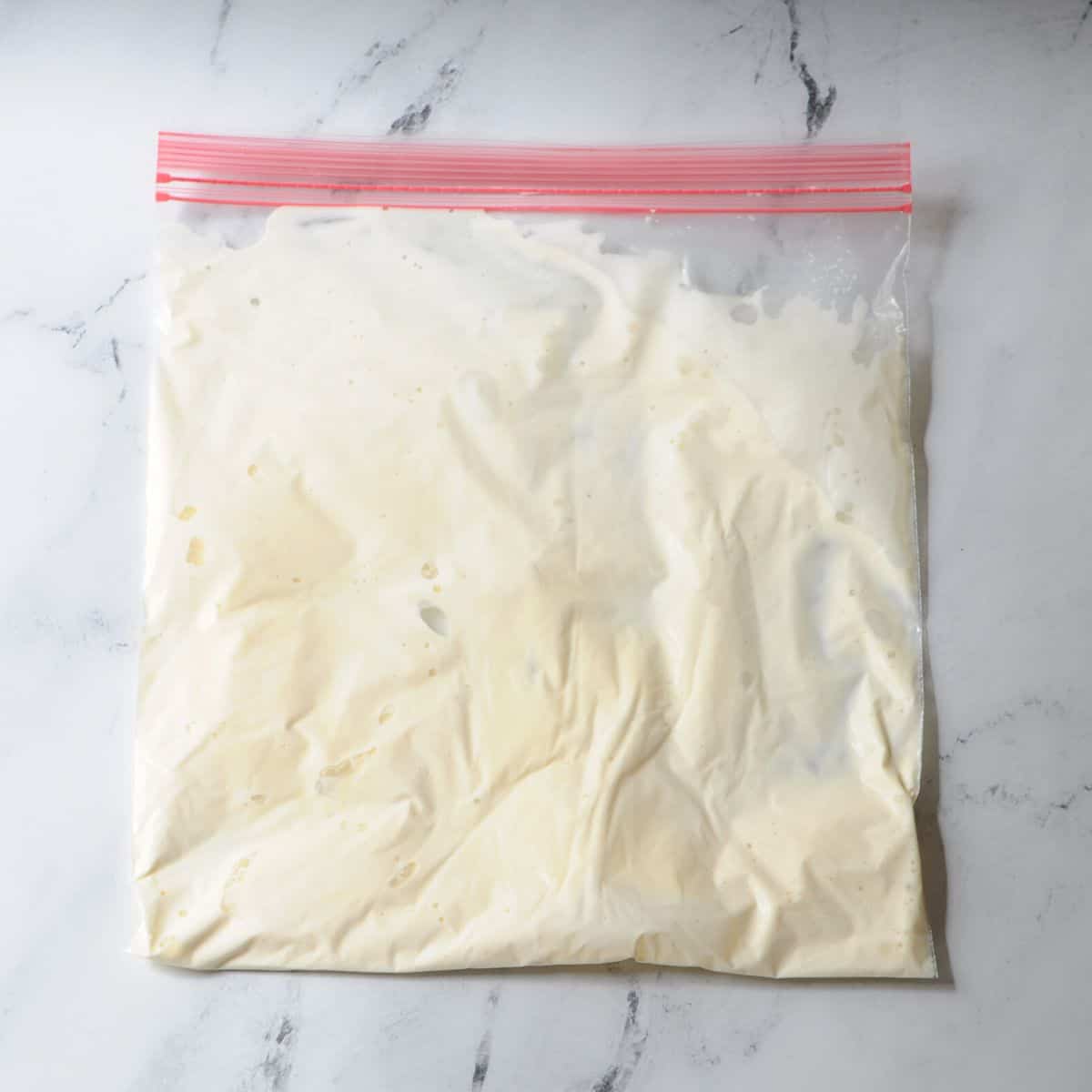 ice cream in a bag