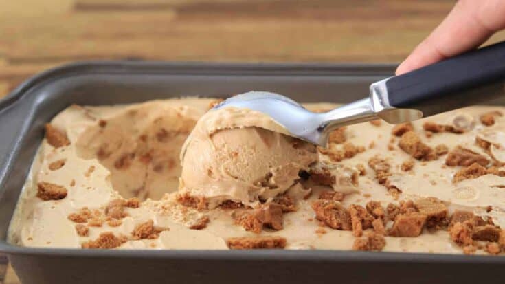 lotus Biscoff Ice Cream