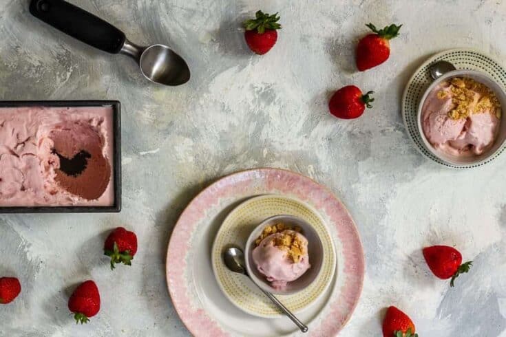 strawberry cheesecake ice cream small 10