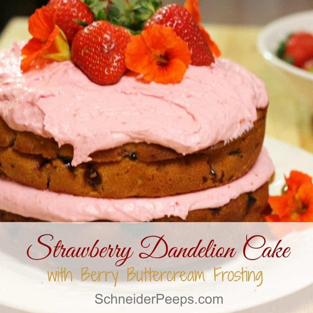SchneiderPeeps Strawberry Dandelion cake fb