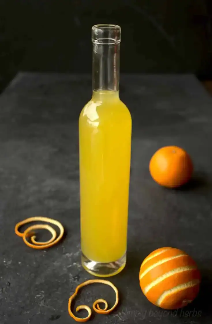 ORANGE CORDIAL 14