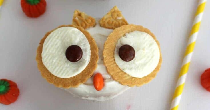 Owl Cupcakes FB