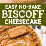 easy no-bake biscoff cheesecake
