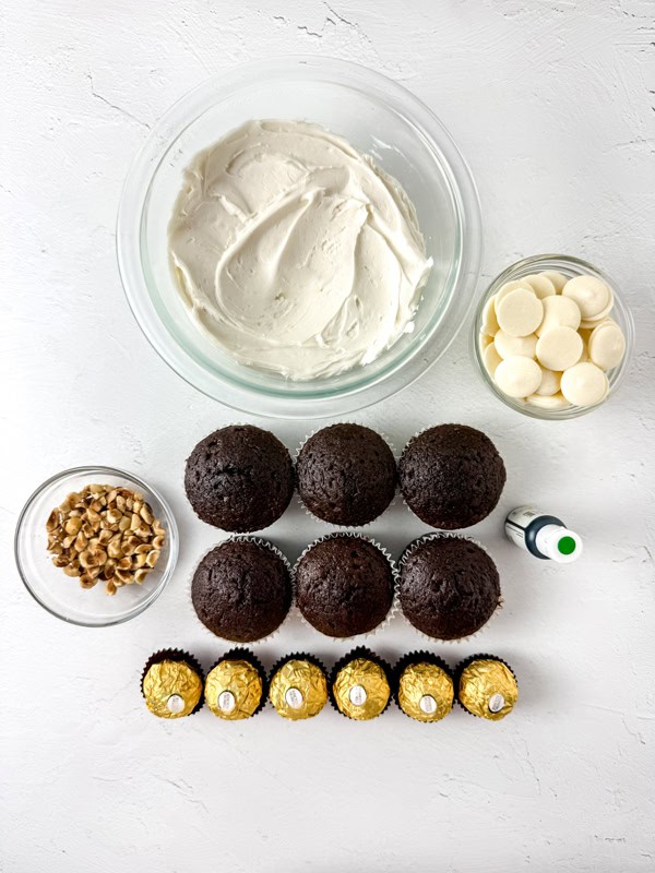 overhead shot of ingredients