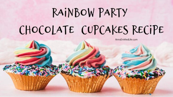 rainbow party chocolate cupcakes recipe photo
