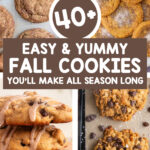 40+ easy and yummy fall cookies you'll make all season long