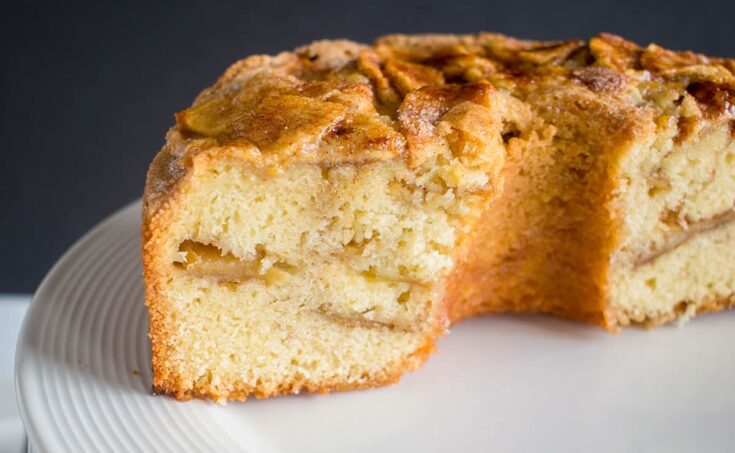 FB The Best Jewish Apple Cake Recipe Photo