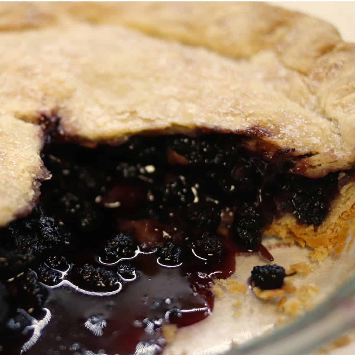 muberry pie recipe 2
