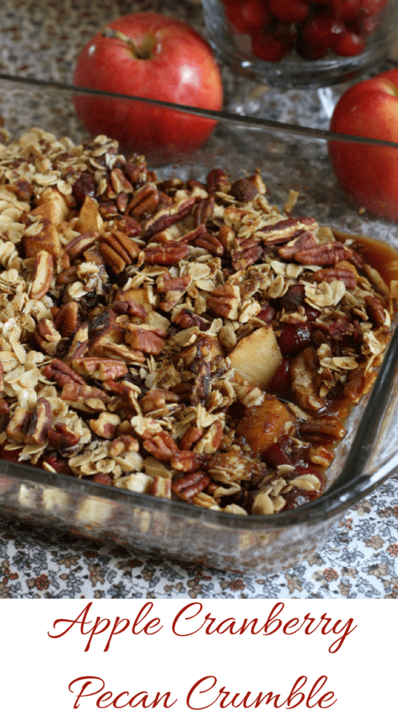 Apple Cranberry Pecan Crumble 569x1024 1