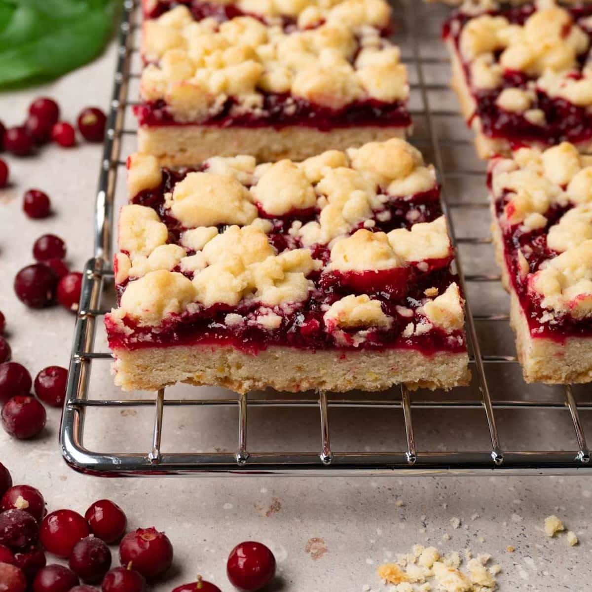 Cranberry bars thumbnail 2