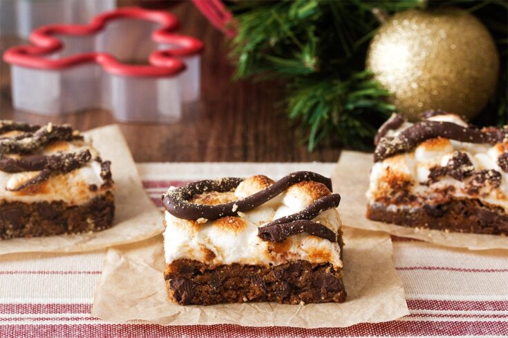 Gingerbread Cookie Bars recipe photo 0156