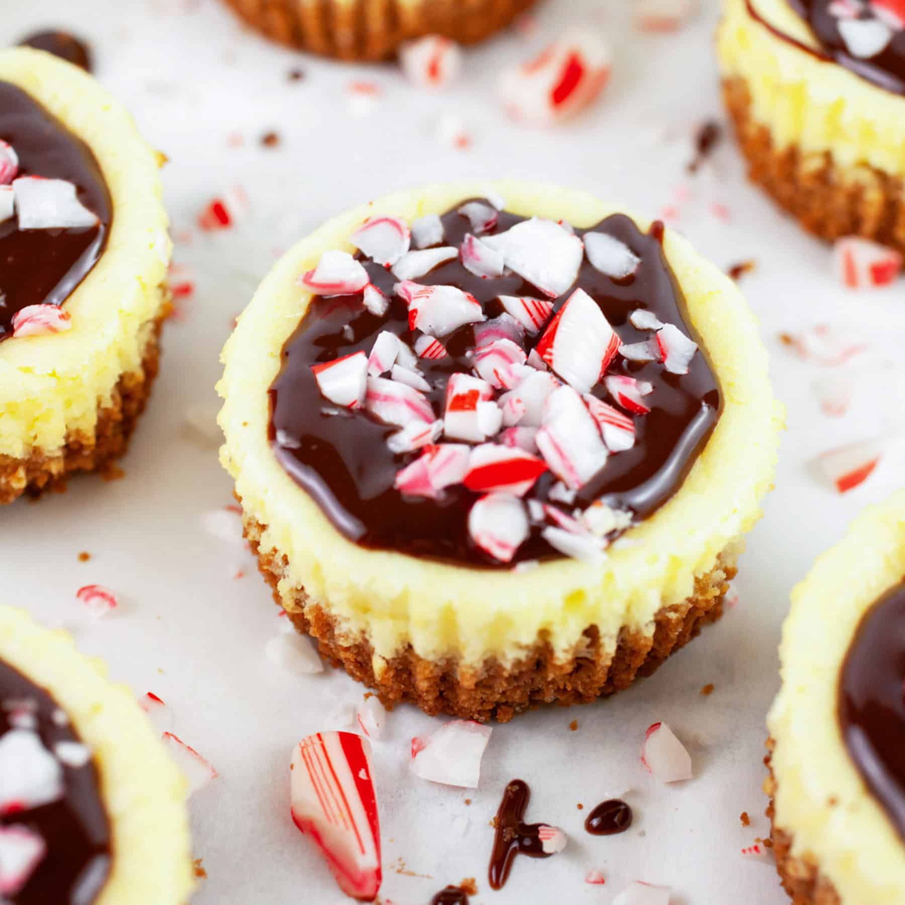 Peppermint Chocolate Cheesecake Cups redo featured 2