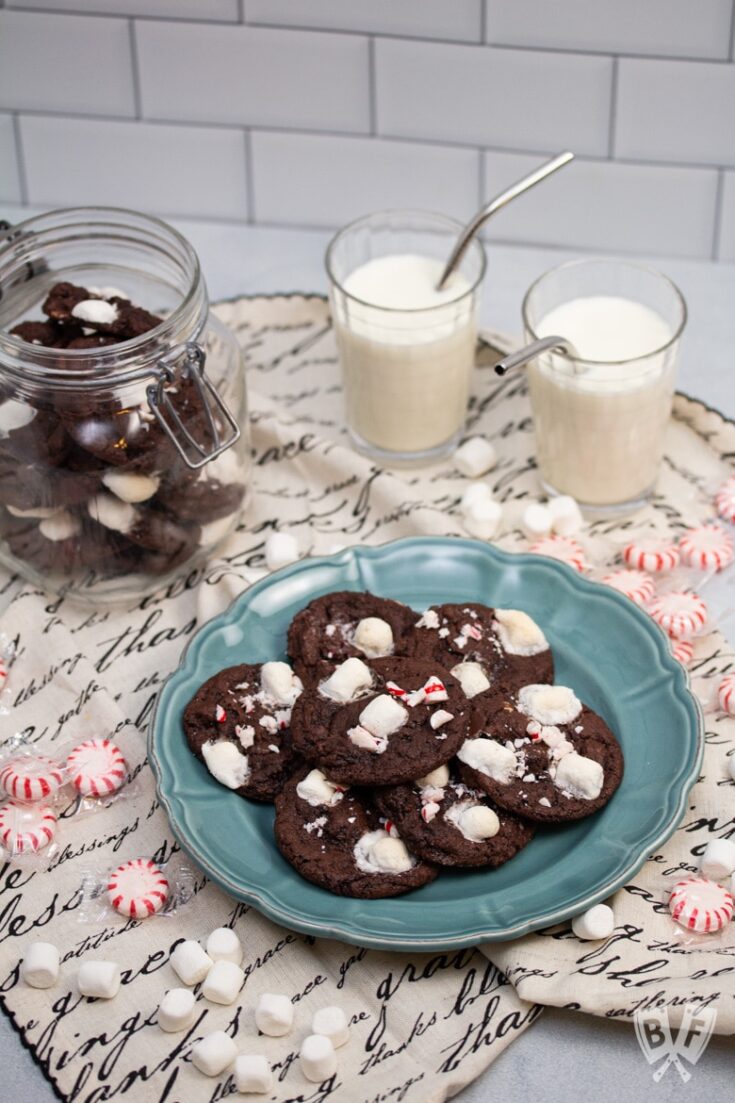 Peppermint Hot Chocolate Cookies 55