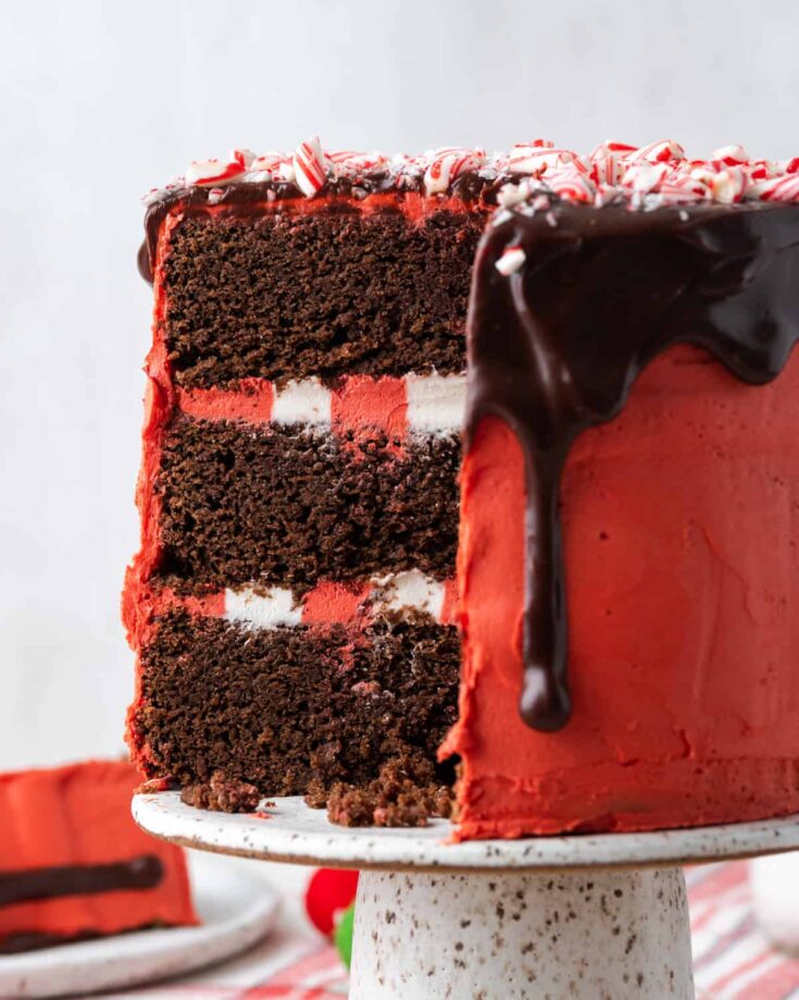 chocolate peppermint cake wellfedbaker