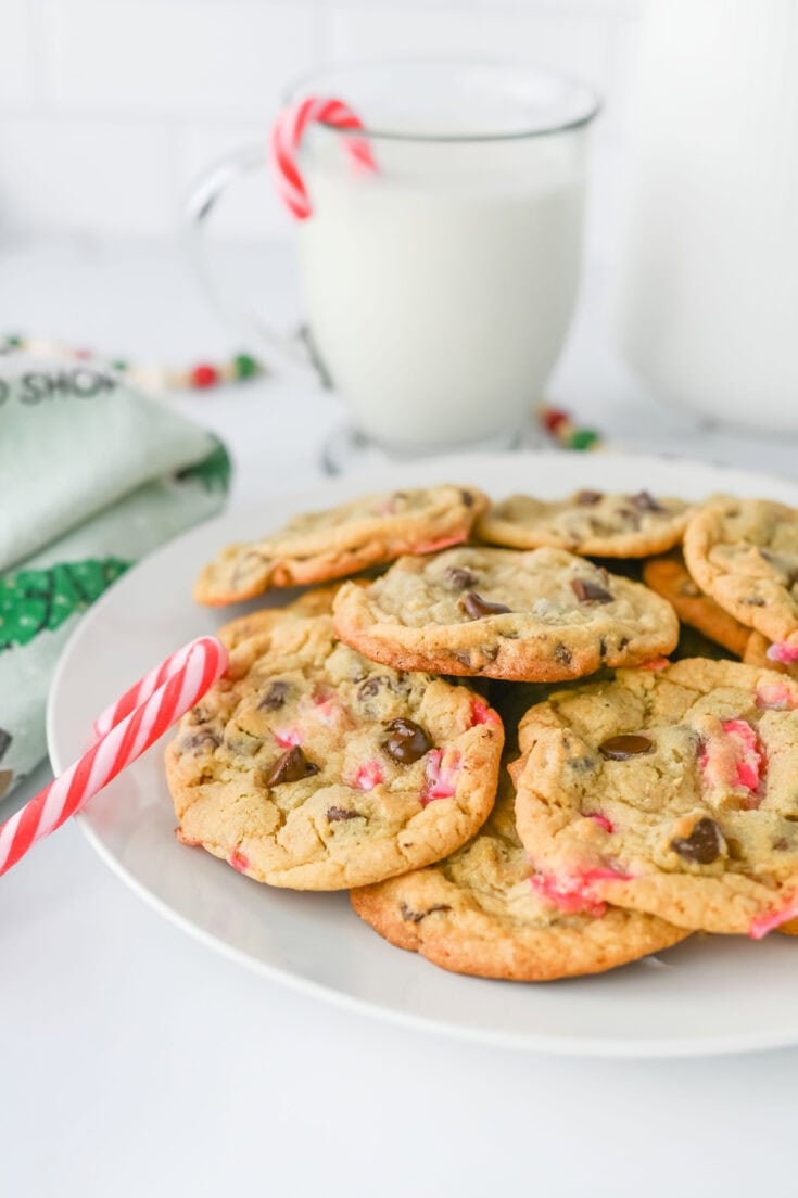 closeup peppermint chocolate chip cookies
